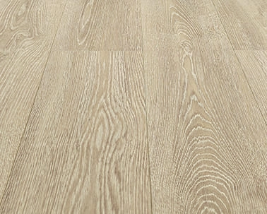 dub-letnee-utro-91790b-1