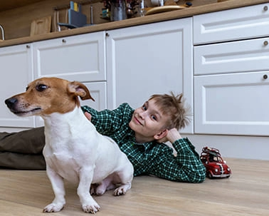 Ламинат MSPC Дуб Хантер